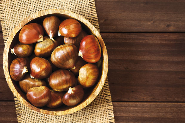 Питоми кестен - посластица и медикамент